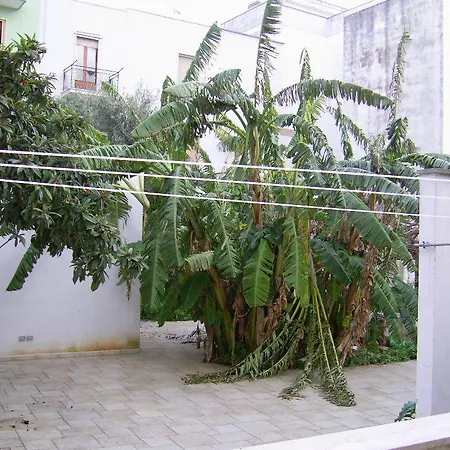 Bed & Breakfast Vivi Natura Citta 3*